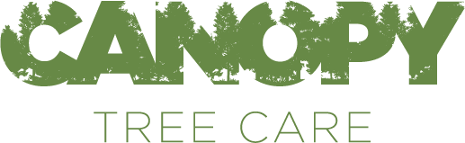 Canopy Tree Care | Edmonton, St. Albert, Sherwood Park Tree Service